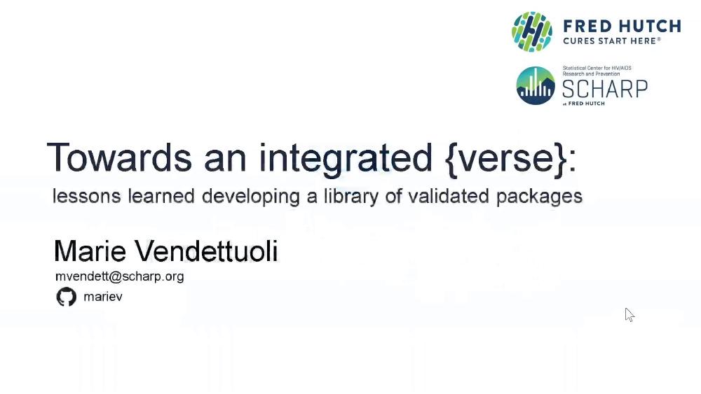 Towards an integrated {verse}: lessons learned developing a library of validated packages
