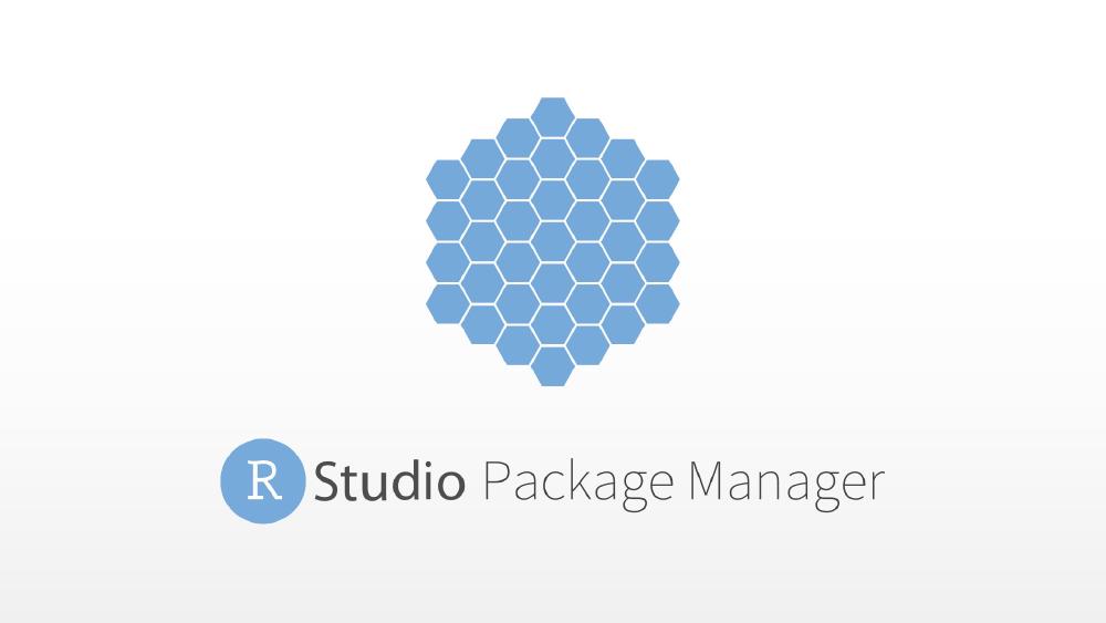 Introduction to the RStudio Package Manager 